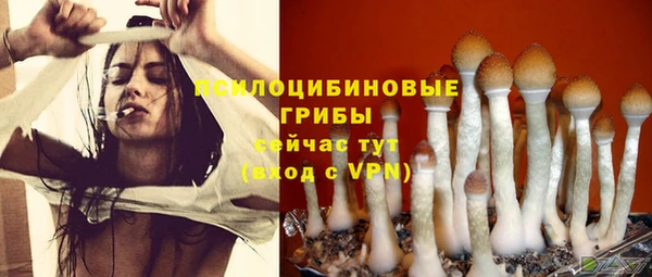 крисы Белокуриха