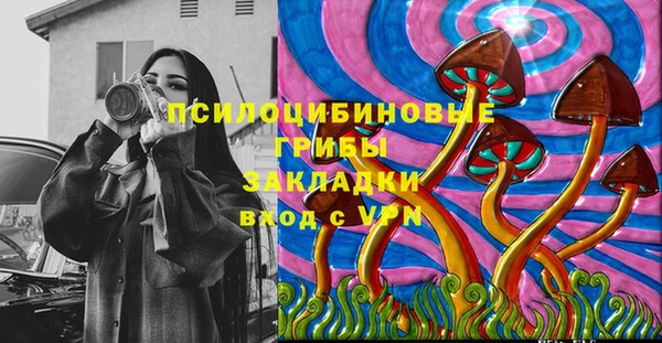 MDMA Богородицк