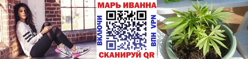 Бошки Шишки планчик  Топки 